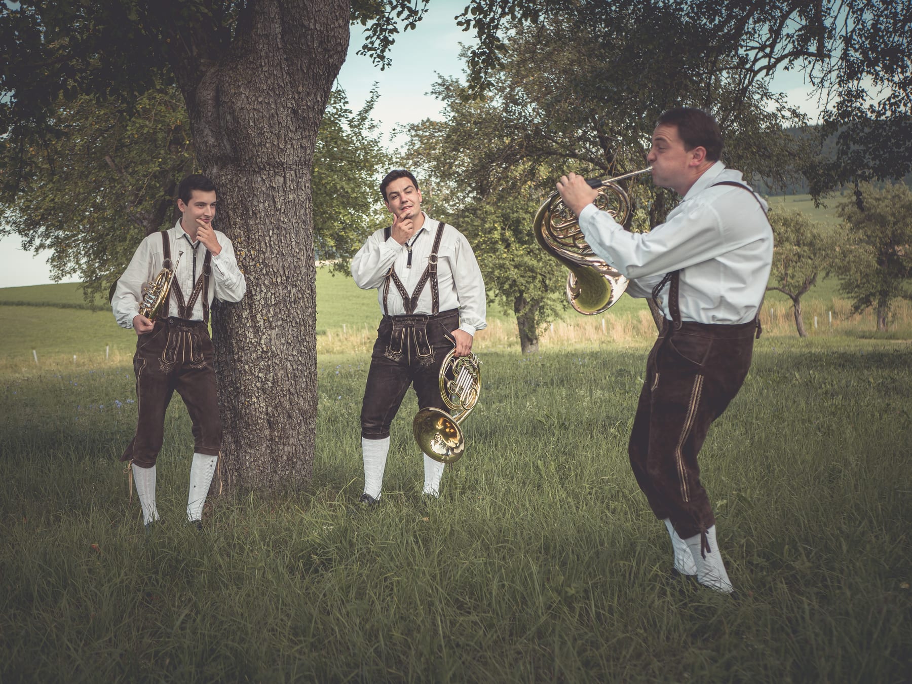 Hörner